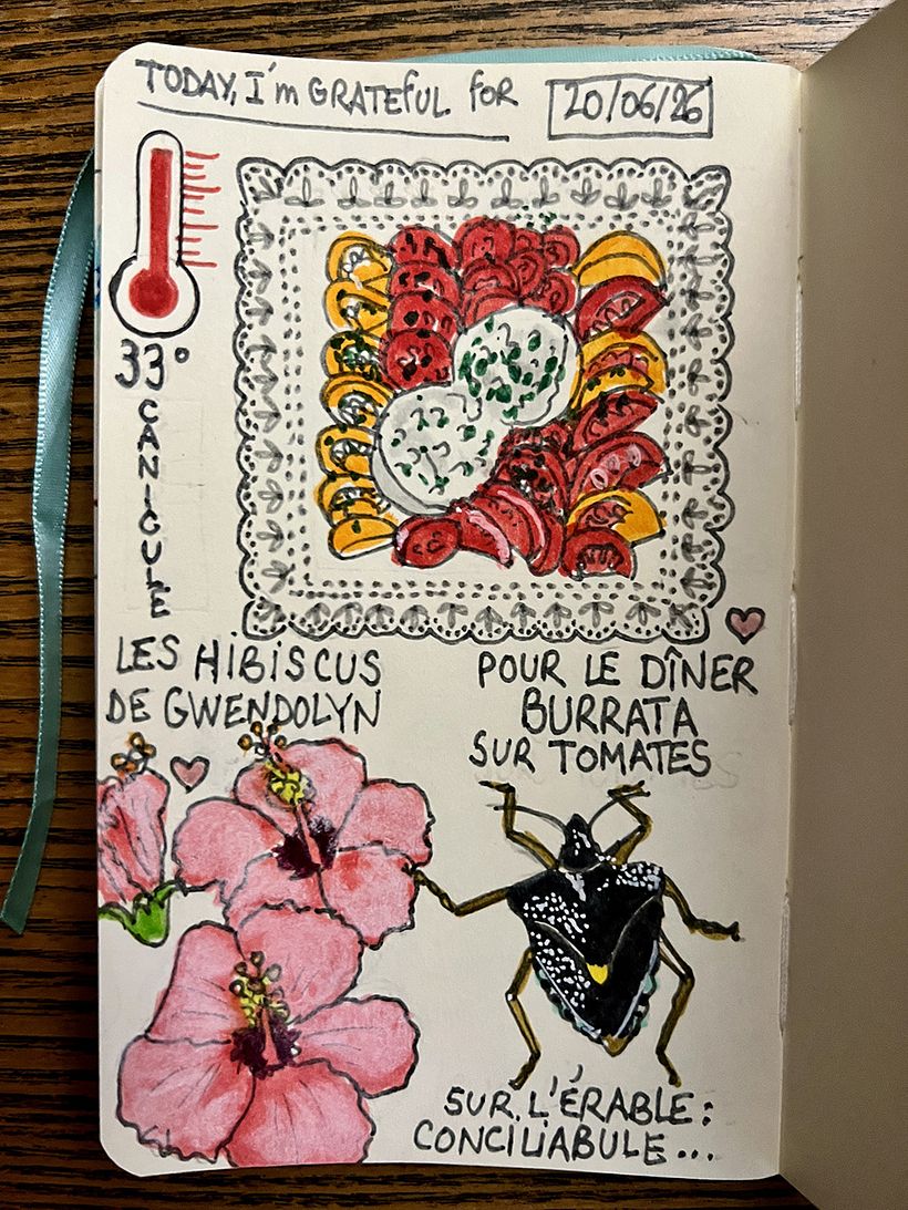 Carnet de gratitude : June 2026 sketchbook 1