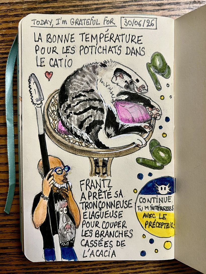 Carnet de gratitude : June 2026 sketchbook 1