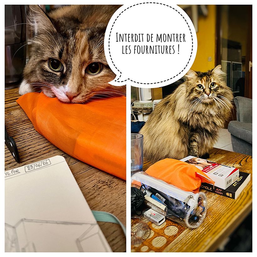 Carnet de gratitude : June 2026 sketchbook 1