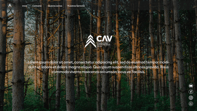 Brand - CAV 13