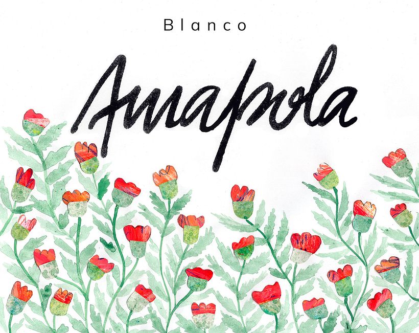Amapola — Wine Brand Identity 4