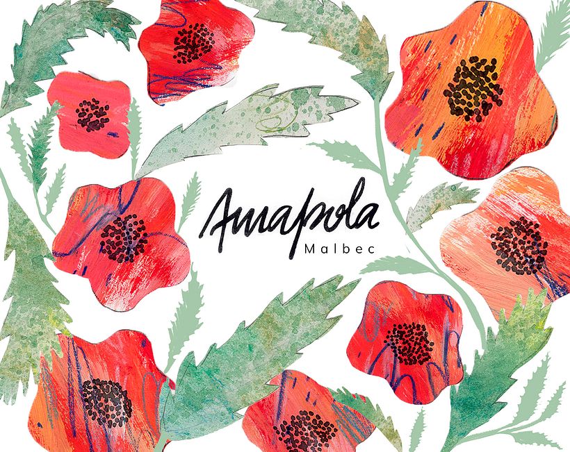 Amapola — Wine Brand Identity 6