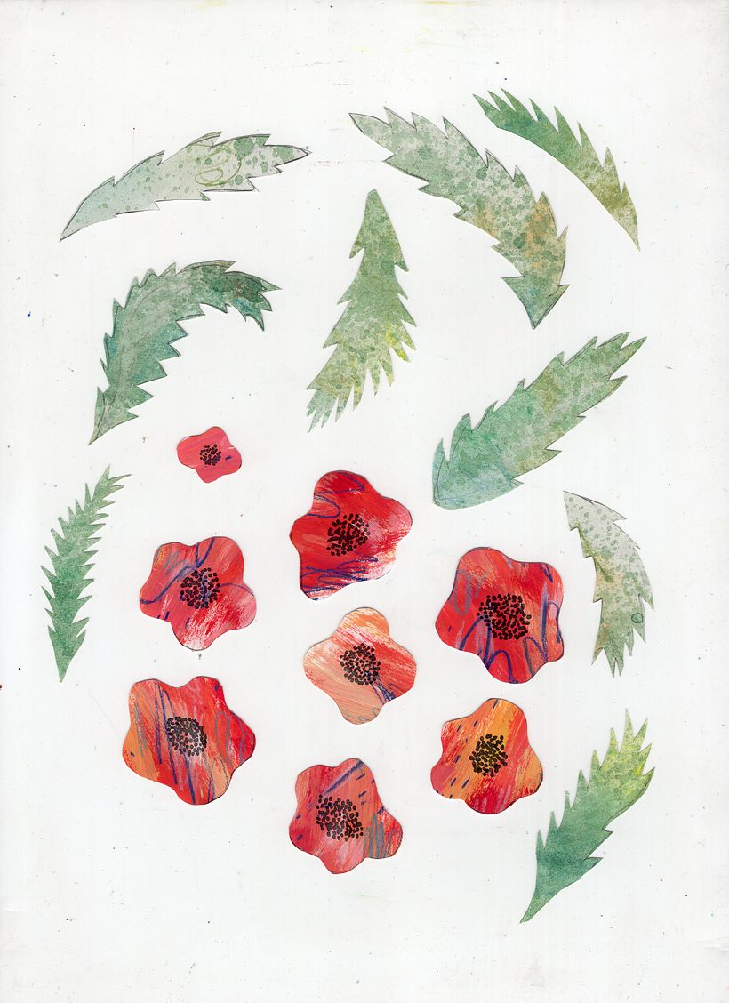 Amapola — Wine Brand Identity 1