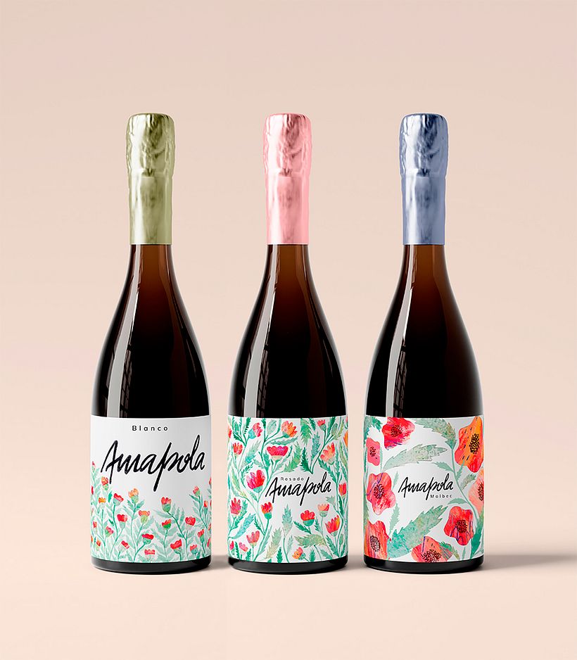 Amapola — Wine Brand Identity 9