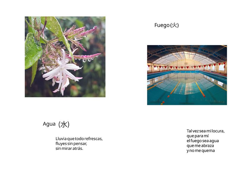 Mis 5 elementos 1