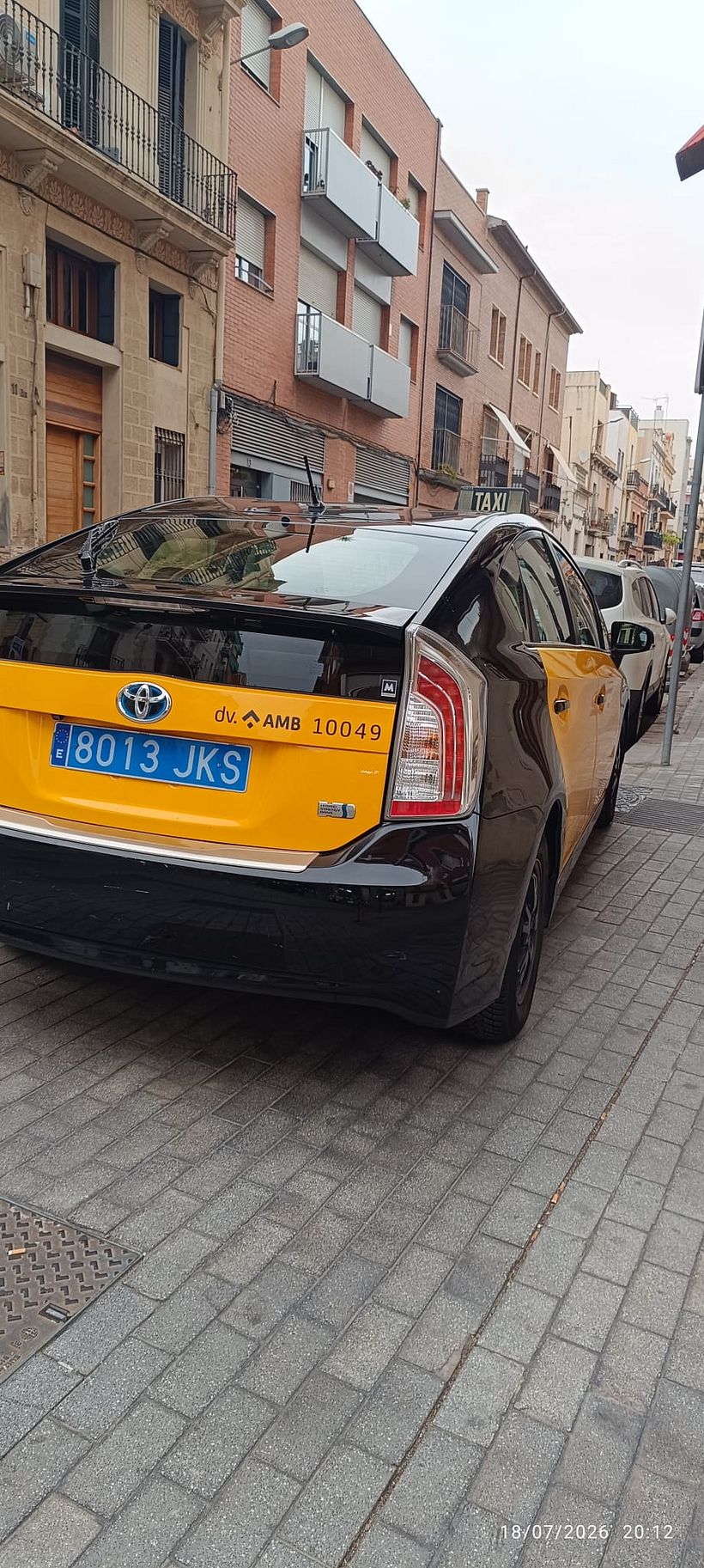 ¿Dónde estás amarillo? 12