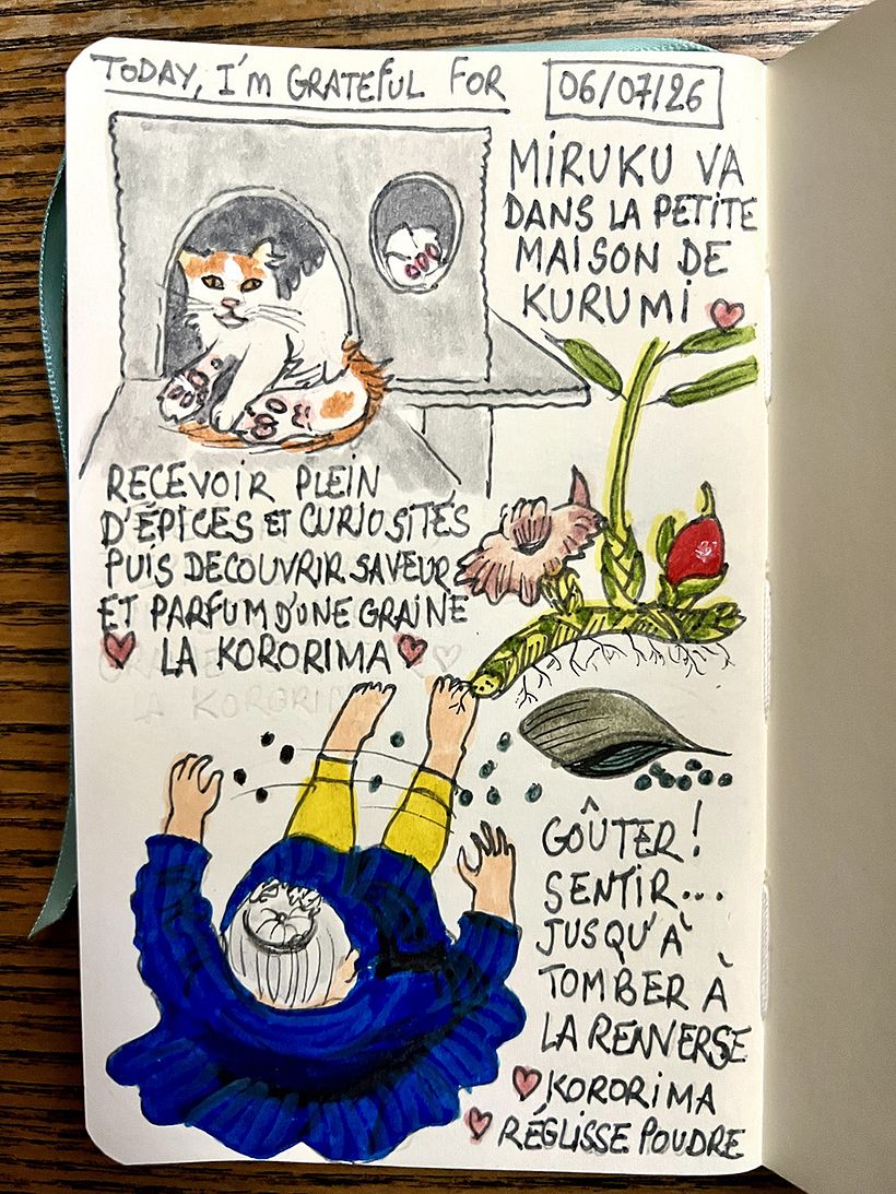 Carnet de gratitude : July 2026 sketchbook 1
