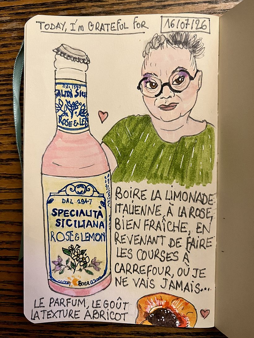 Carnet de gratitude : July 2026 sketchbook 1