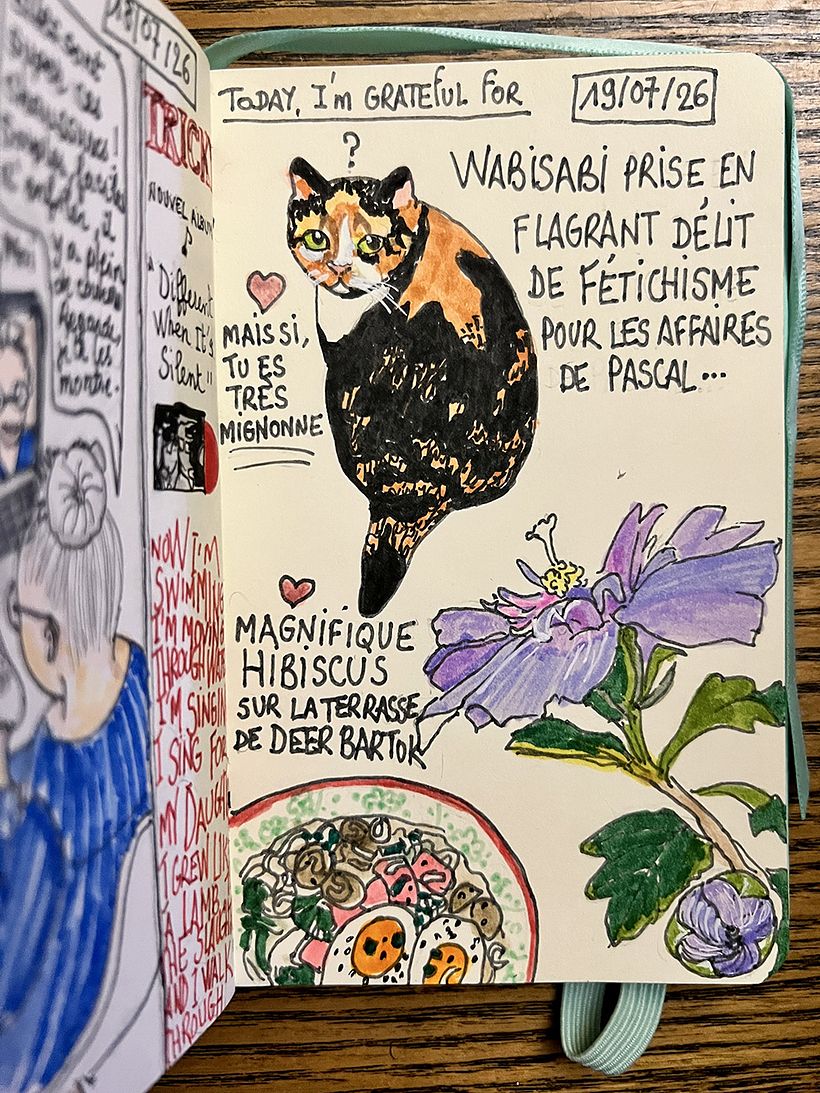Carnet de gratitude : July 2026 sketchbook 1