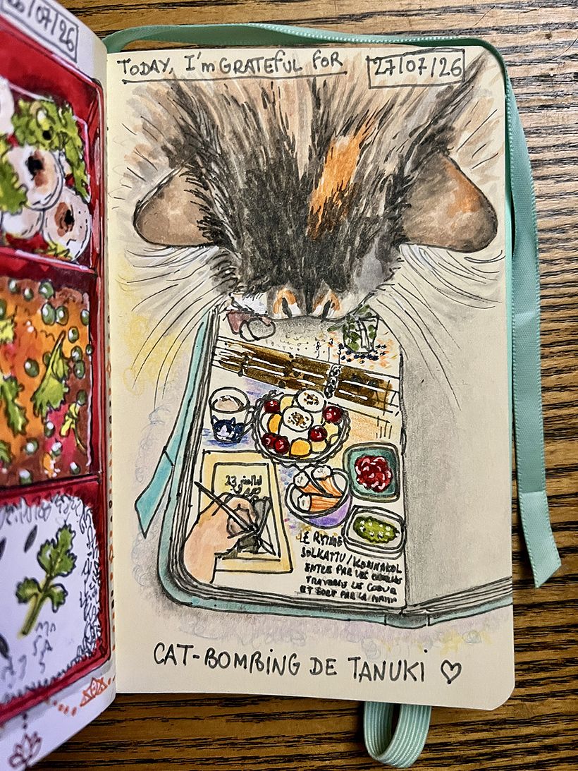 Carnet de gratitude : July 2026 sketchbook 1