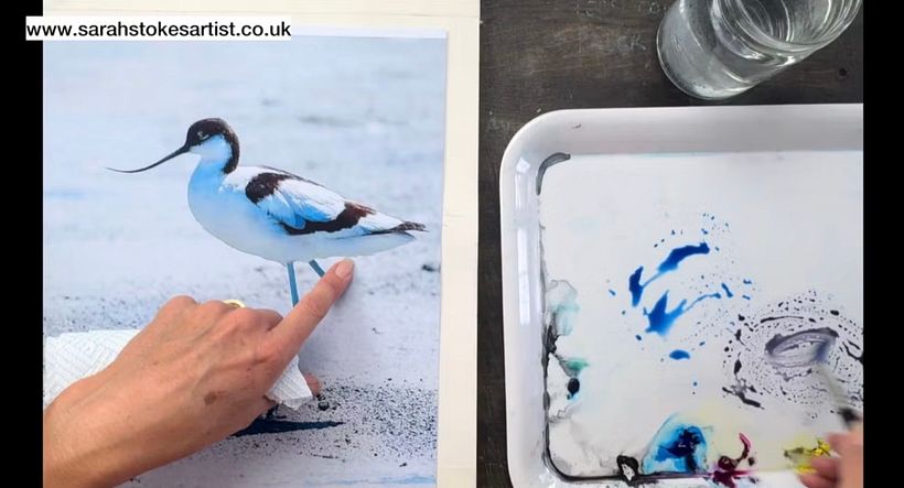 How to Paint a White Bird In Watercolour Without using White 1