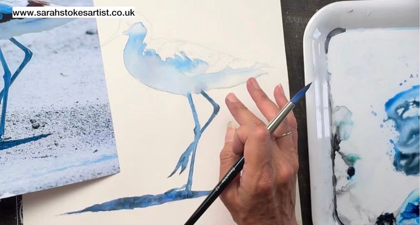 How to Paint a White Bird In Watercolour Without using White 1