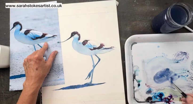 How to Paint a White Bird In Watercolour Without using White 1