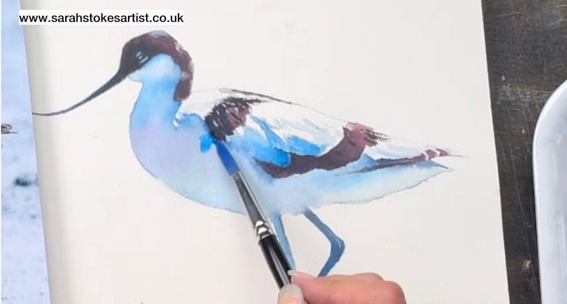 How to Paint a White Bird In Watercolour Without using White 1