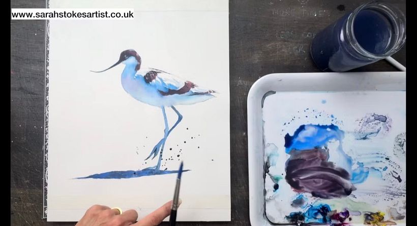 How to Paint a White Bird In Watercolour Without using White 2