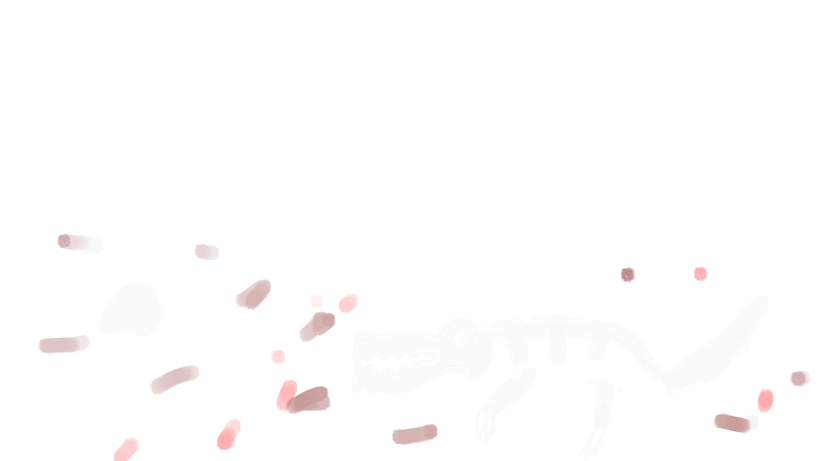 spalsh 2