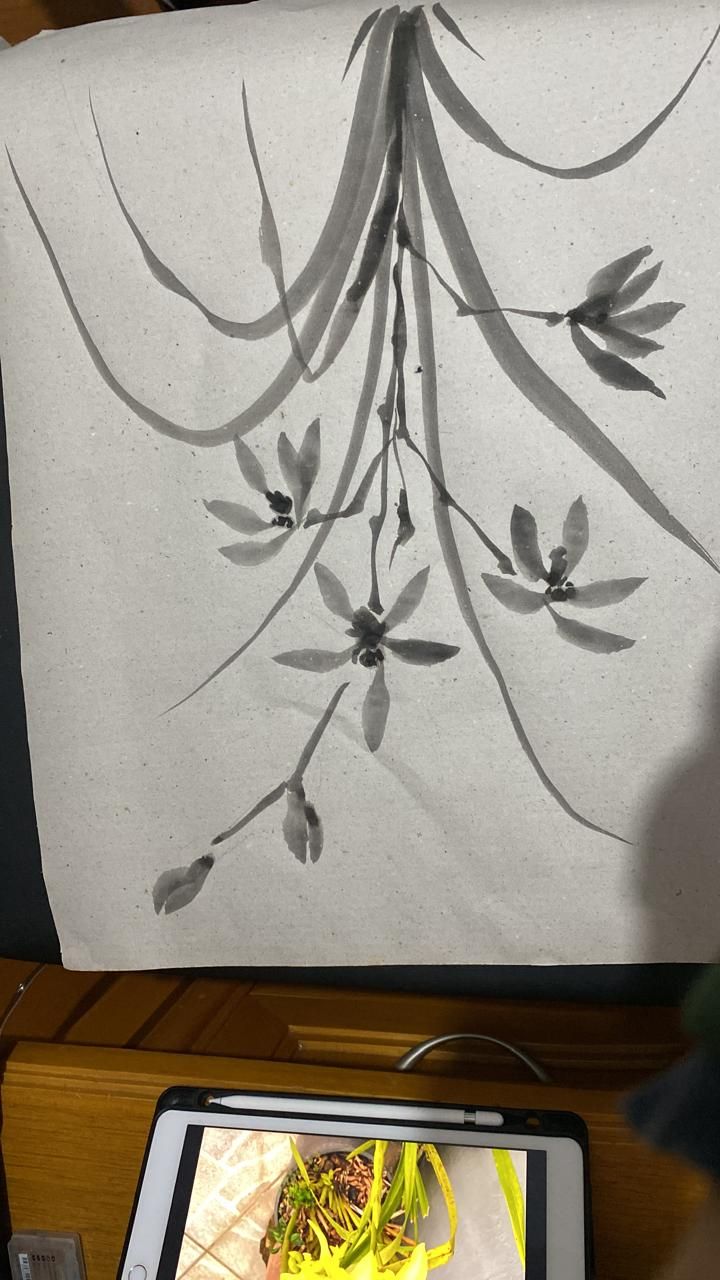 Grandma orchid 1