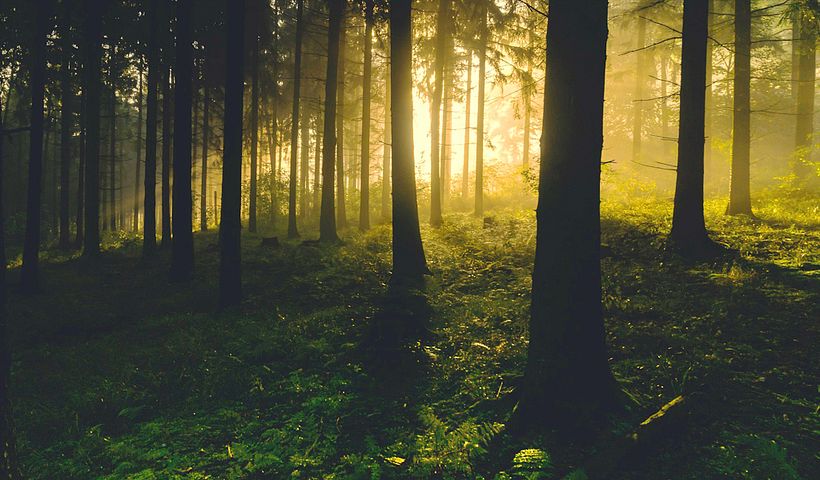 Progetto finale per il corso 'Paesaggi incantevoli ad acquerello: dipingi con la luce 1