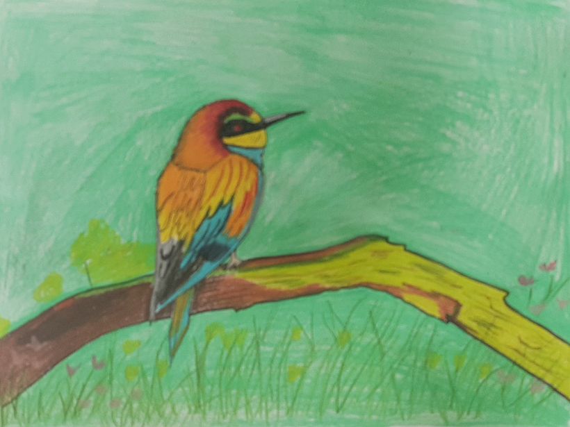Artista en progreso 5