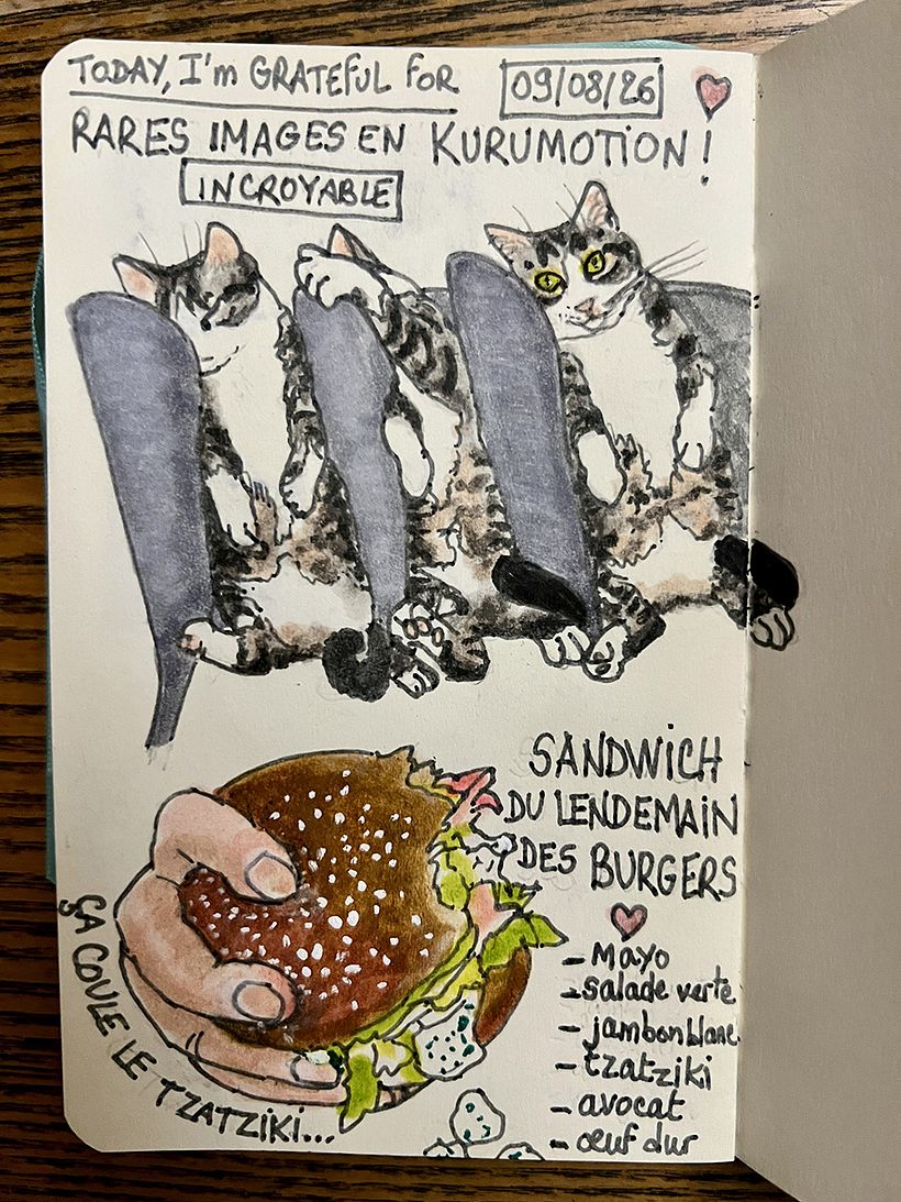 Carnet de gratitude : August 2026 sketchbook 1