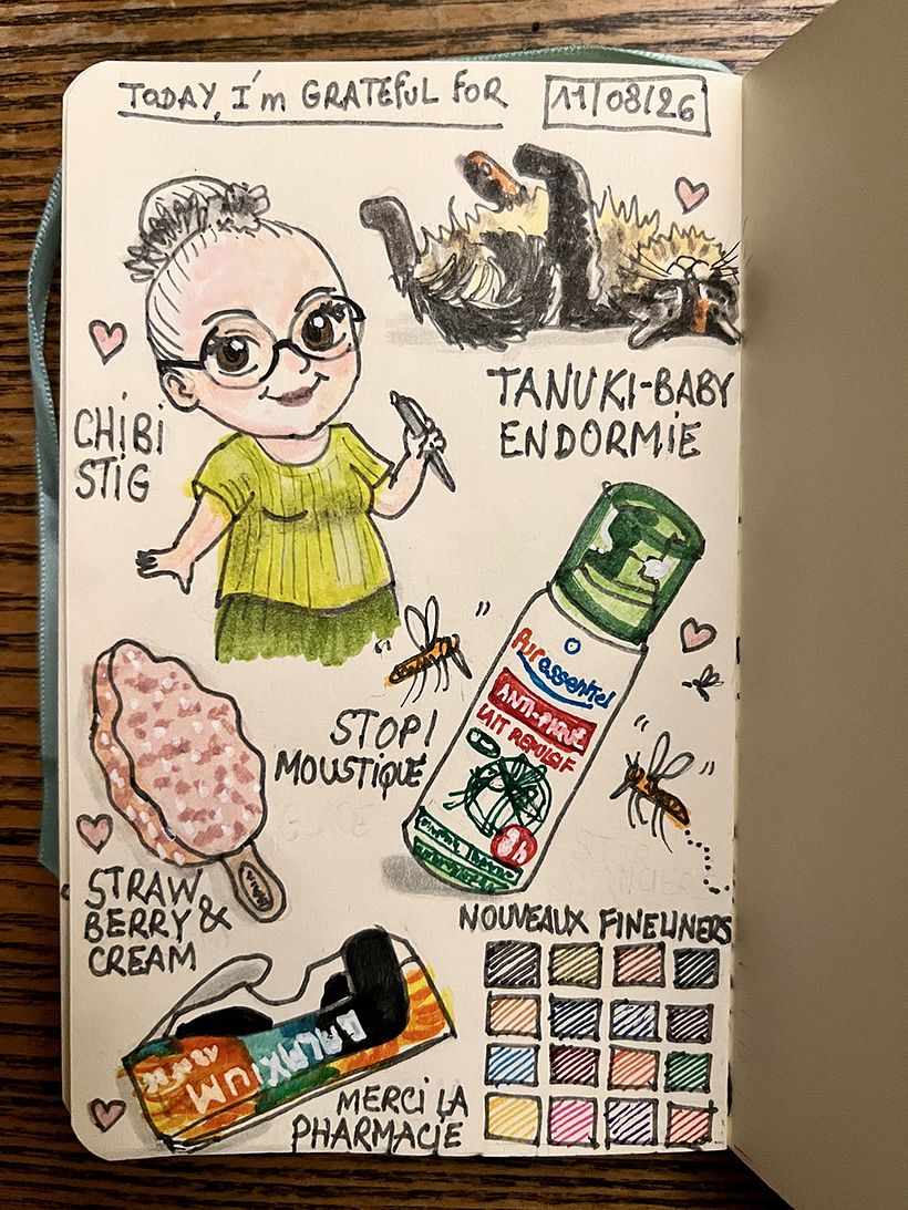 Carnet de gratitude : August 2026 sketchbook 1