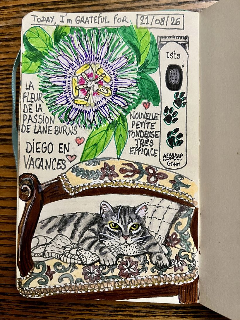 Carnet de gratitude : August 2026 sketchbook 1
