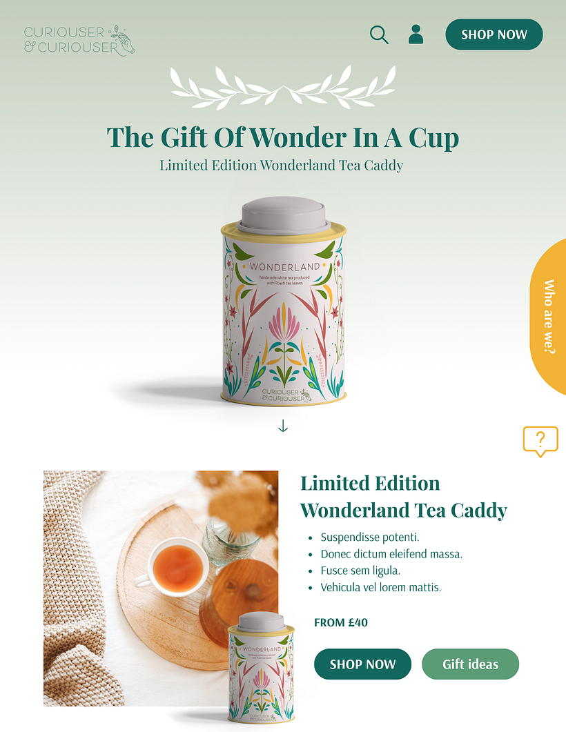 UX/UI design: Designing a landing page using storytelling principles ...